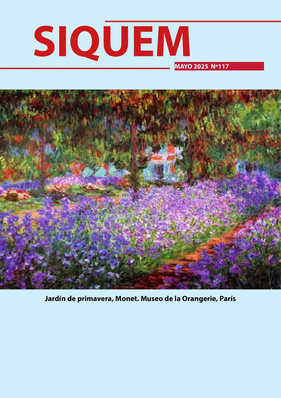 Portada de SIQUEM Nº 117
